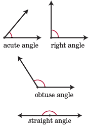 What is the correct way to name the straight angle in the figure