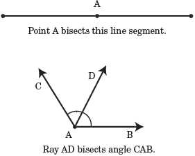 Bisect