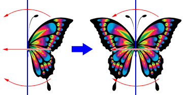 mirror image symmetry